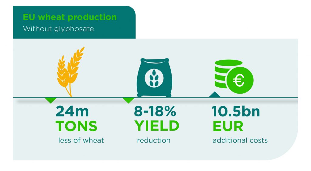 The case of cereals Glyphosate Renewal Group