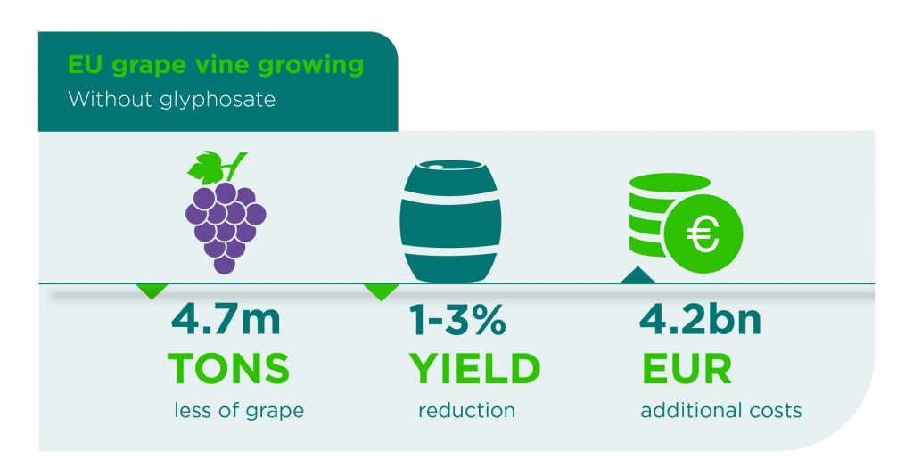 The case of grape vines Glyphosate Renewal Group