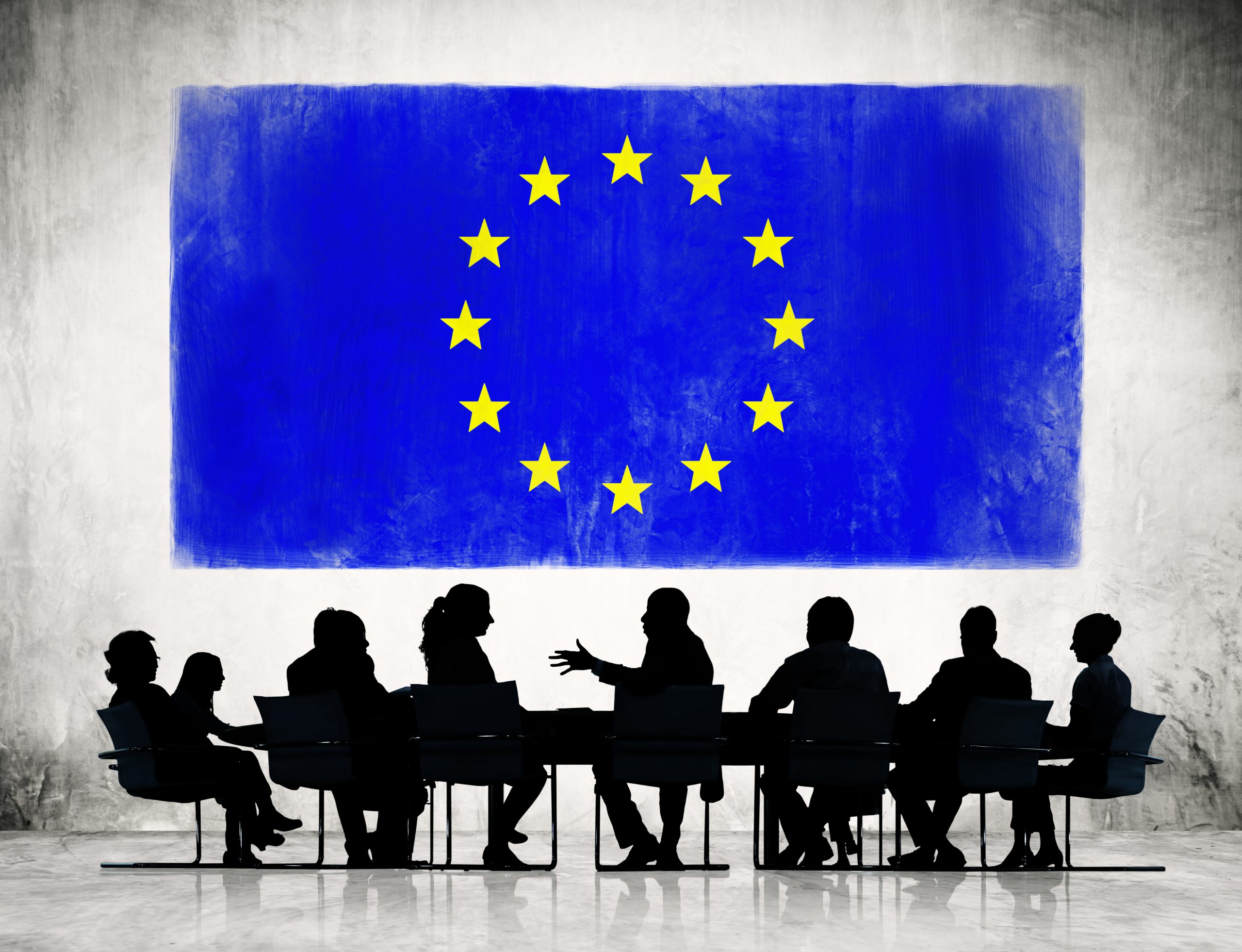 Европейское экономическое общество. Хартия европейского Союза. Европейский Союз люди. Международная организация ЕС. Европейское корпоративное право.
