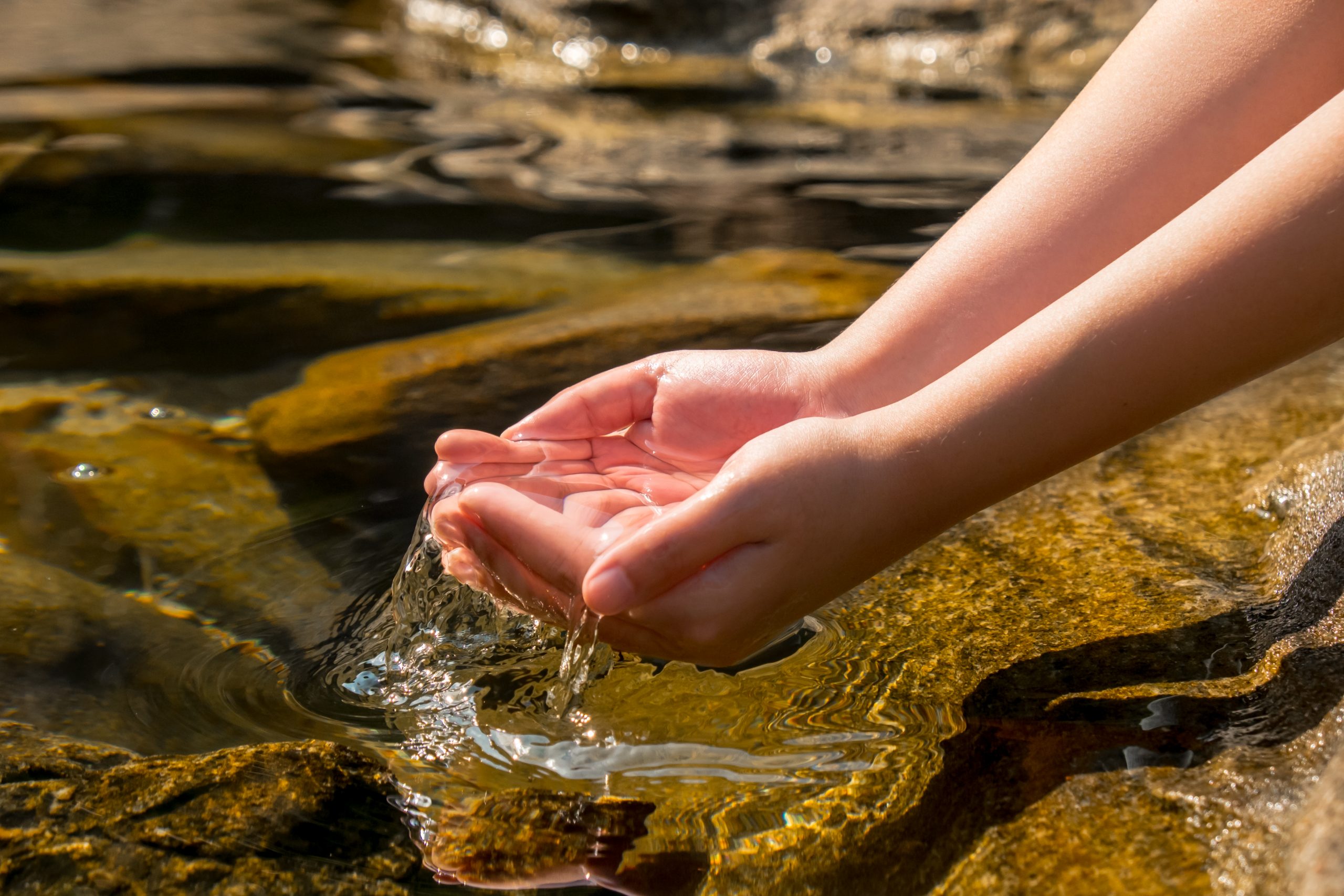 Слышишь воду. Человек пьет воду из ручья. Девушка у родника. Человек пьет воду из реки. Черпать воду.